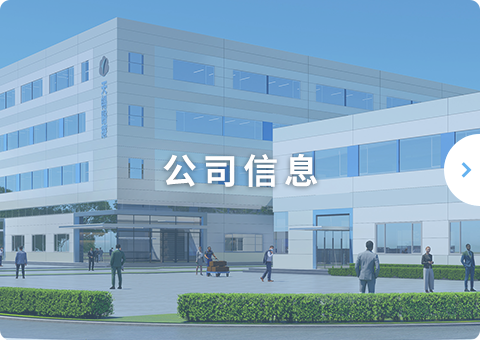 公司信息